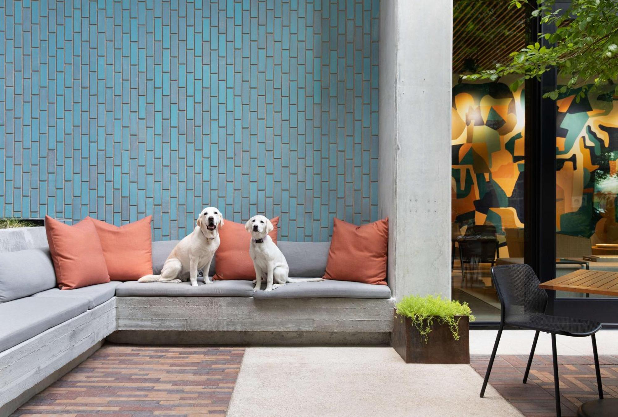 Canopy By Hilton Austin Downtown Εξωτερικό φωτογραφία